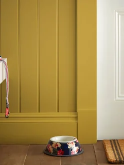 Brolley Yellow Multi Surface Matt Emulsion