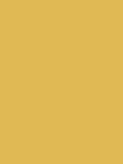 Brolley Yellow Multi Surface Matt Emulsion