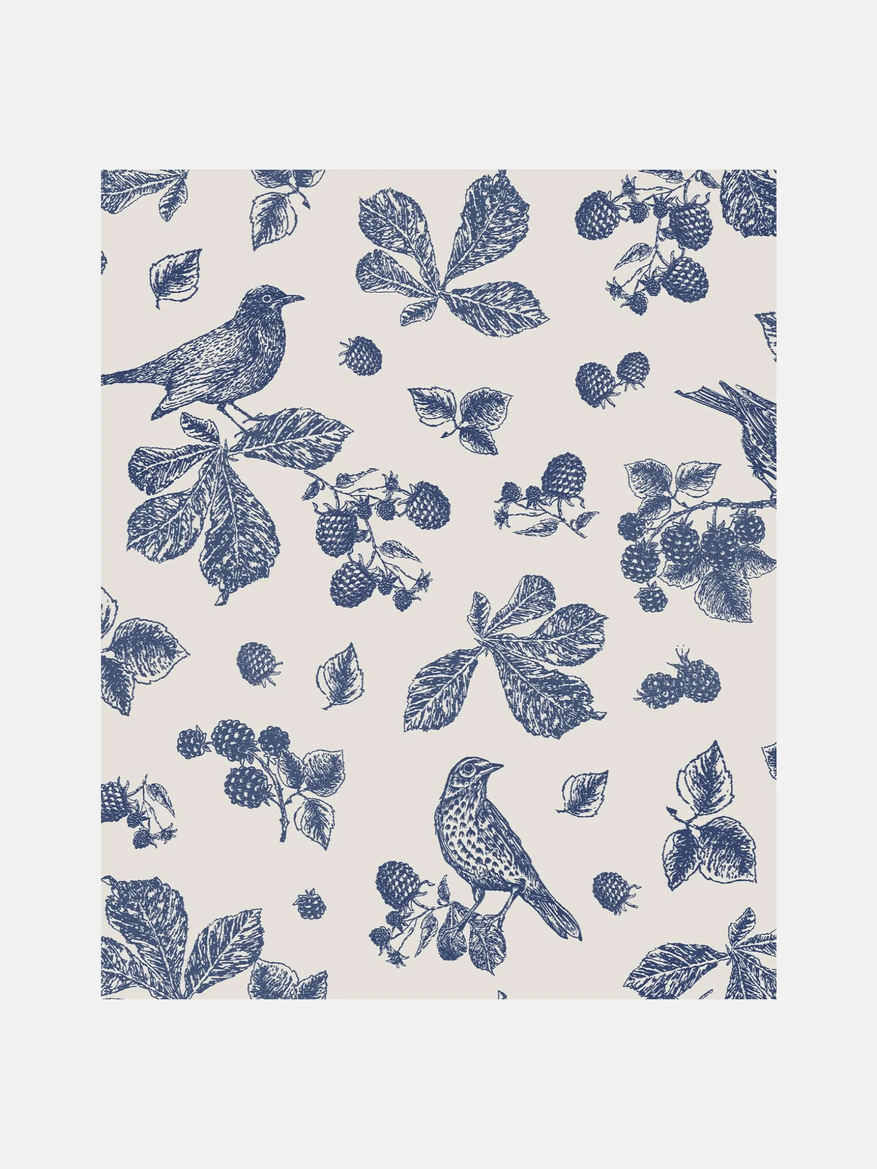 Cream Blackberry Bird 10M Wallpaper