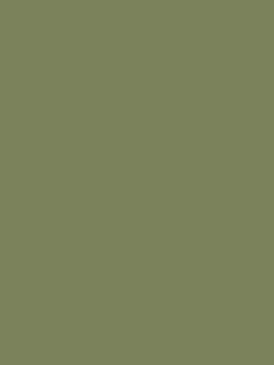 Fields Edge Green Multi Surface Matt Emulsion