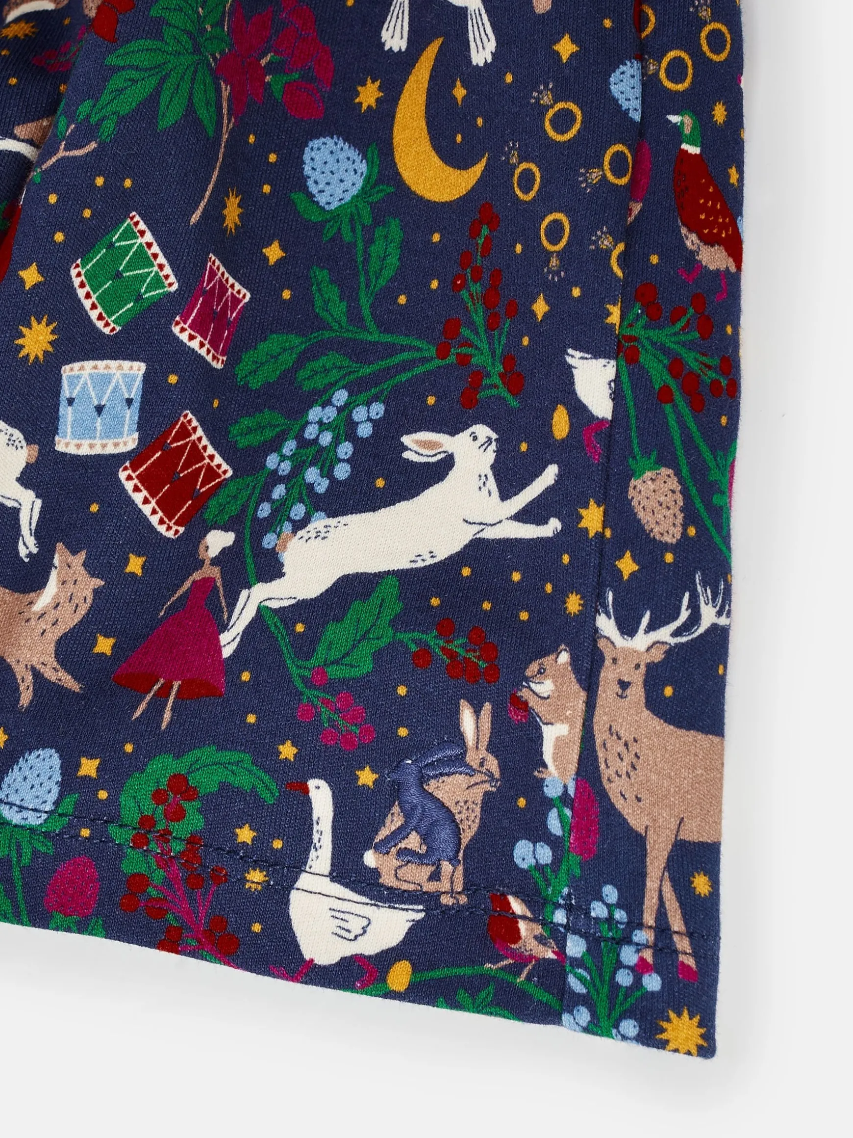 Girls' Gracie 12 Days of Christmas Printed Jersey Dress