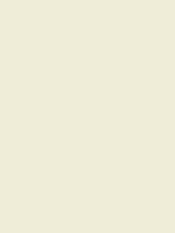 Homebird Cream Multi Surface Matt Emulsion
