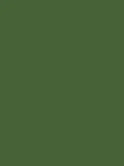 Peak Green Multi Surface Matt Emulsion