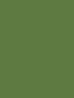 Upper Bridge Green Multi Surface Matt Emulsion