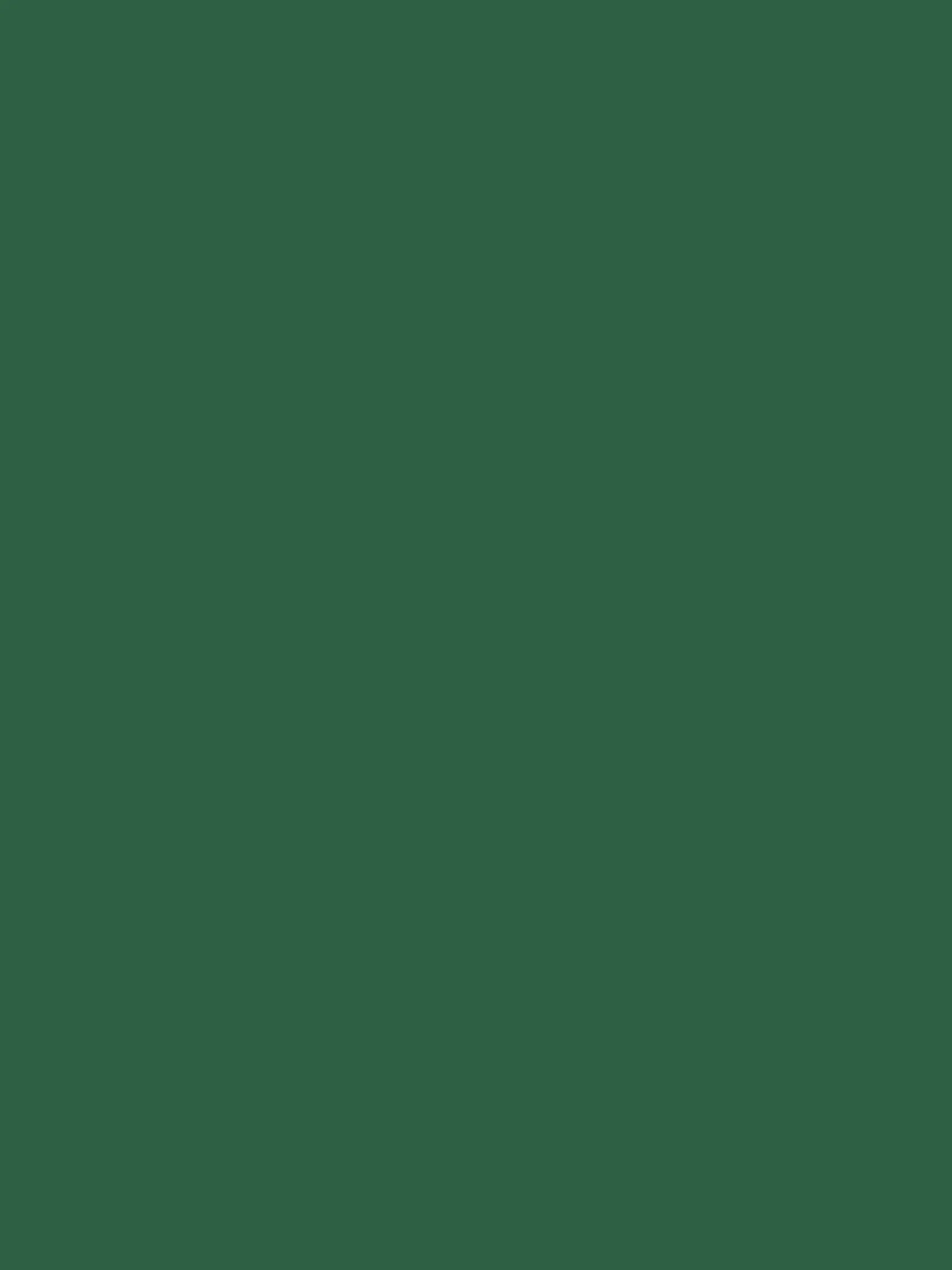 Wild Swim Green Surface Matt Emulsion